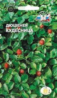 Купить оптом в Ботанике семена Земляника Дюшинея кудесница Сед бренд СеДеК