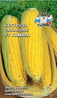Купить оптом в Ботанике семена Кукуруза Гамма сахарная F1 Сед бренд СеДеК