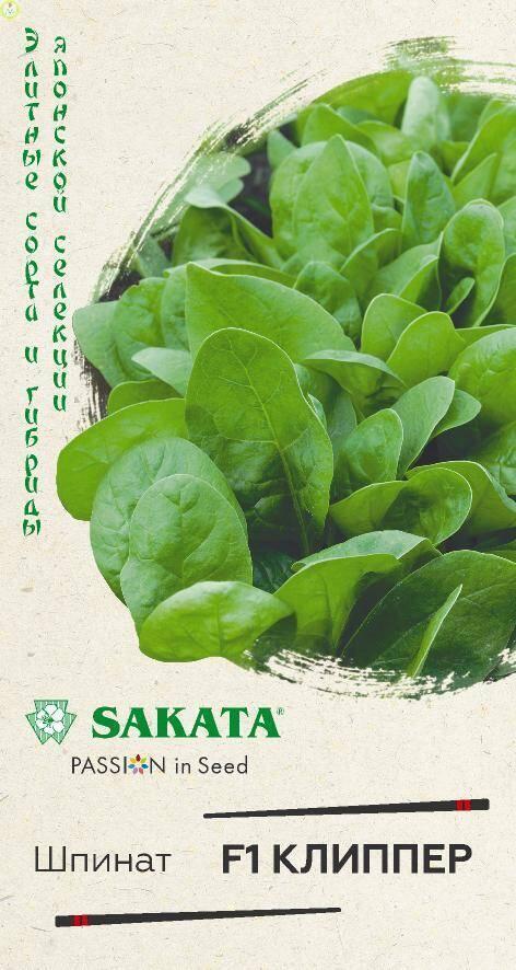 Купить оптом в Ботанике семена Шпинат Клиппер F1 Гав бренд Гавриш