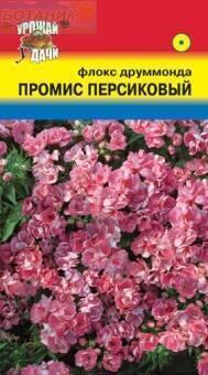 Купить оптом в Ботанике семена Флокс Промис персиковый УУ бренд Урожай Удачи