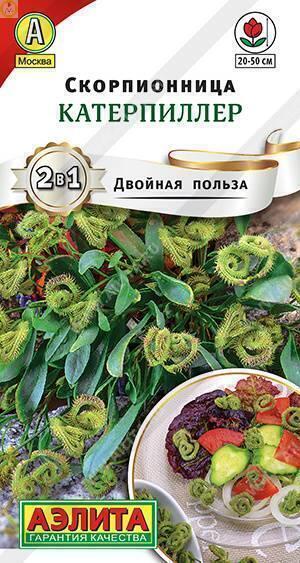 Купить оптом в Ботанике семена Скорпионница Катерпиллер Аэл бренд Аэлита