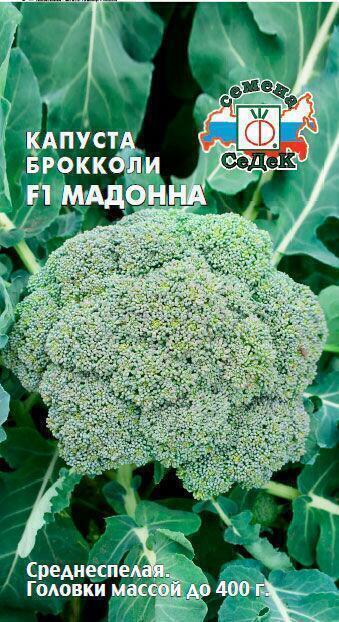 Купить оптом в Ботанике семена Капуста брокколи Мадонна F1 Сед бренд СеДеК