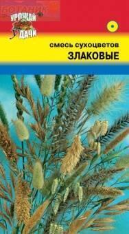 Купить оптом в Ботанике семена Смесь сухоцветов Злаковых УУ бренд Урожай Удачи