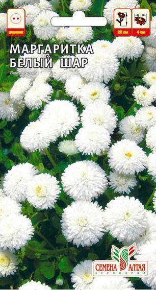Купить оптом в Ботанике семена Маргаритка Белый шар СА бренд Семена Алтая