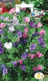 Купить оптом в Ботанике семена Эхиум Пилигрим смесь гибридный Сед бренд СеДеК