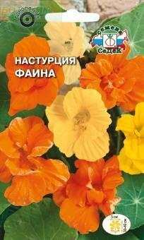 Купить оптом в Ботанике семена Настурция Фаина Сед бренд СеДеК