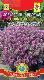 Купить оптом в Ботанике семена Лобулярия (алиссум) Розовый коврик Плз бренд Плазмас