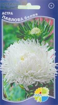 Купить оптом в Ботанике семена Астра Павлова белая Акв бренд Акварель