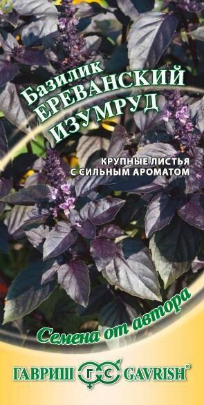 Купить оптом в Ботанике семена Базилик Ереванский изумруд Гав бренд Гавриш