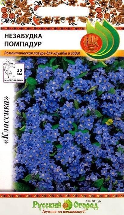 Купить оптом в Ботанике семена Незабудка Помпадур НК бренд НК