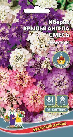 Купить оптом в Ботанике семена Иберис Крылья ангела УД бренд Уральский дачник
