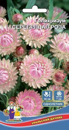 Купить оптом в Ботанике семена Гелихризум Серебрянная роза УД бренд Уральский дачник