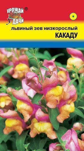 Купить оптом в Ботанике семена Львиный зев Какаду F1 УУ бренд Урожай Удачи