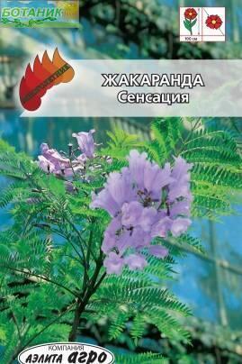 Купить оптом в Ботанике семена Жакаранда Сенсация Аэл бренд Аэлита