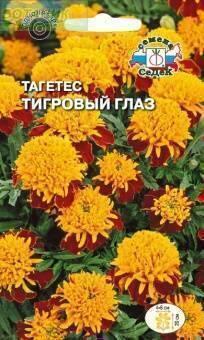 Купить оптом в Ботанике семена Бархатцы Тигровый глаз Сед бренд СеДеК