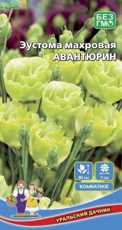 Купить оптом в Ботанике семена Эустома Авантюрин махровая УД бренд Уральский дачник