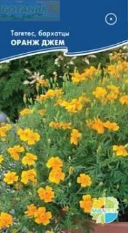 Купить оптом в Ботанике семена Бархатцы Оранж джем Акв бренд Акварель