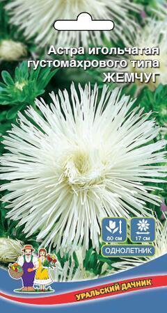 Купить оптом в Ботанике семена Астра Жемчуг УД бренд Уральский дачник