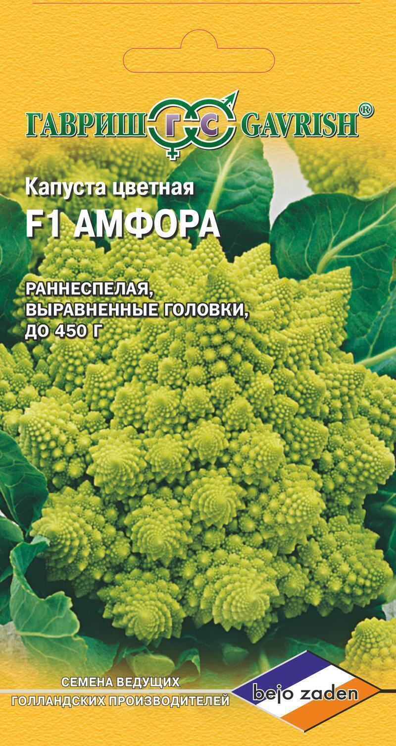 Купить оптом в Ботанике семена Капуста цветная Амфора Гав бренд Гавриш