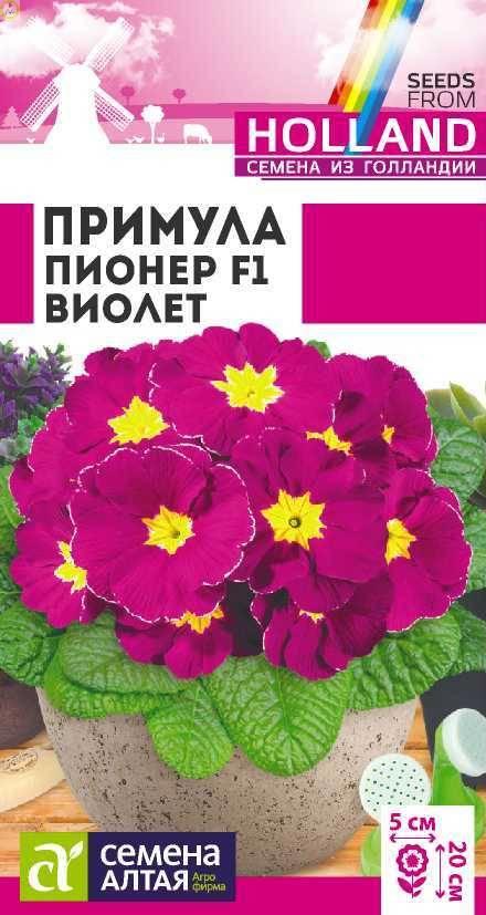 Купить оптом в Ботанике семена Примула Пионер Виолет СА бренд Семена Алтая