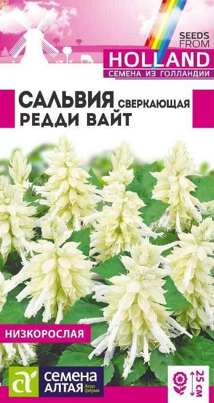 Купить оптом в Ботанике семена Сальвия Редди Вайт сверкающая СА бренд Семена Алтая