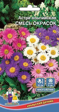 Купить оптом в Ботанике семена Астра Альпийская смесь окрасок УД бренд Уральский дачник