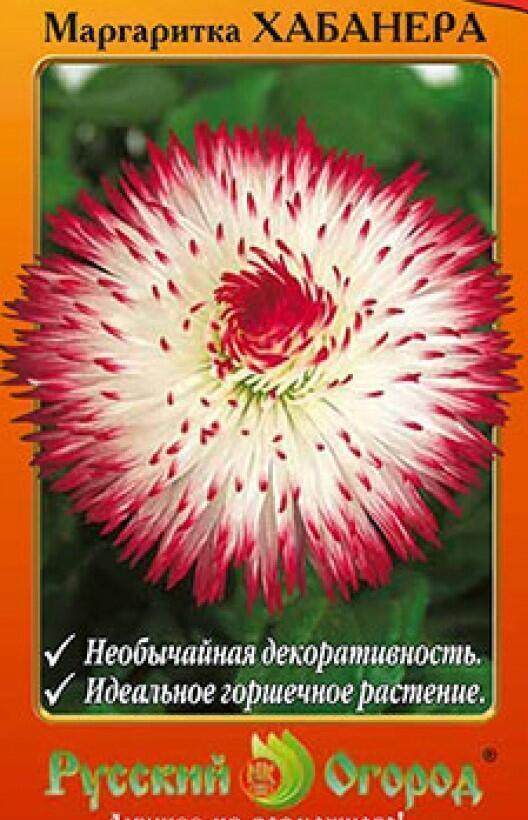 Купить оптом в Ботанике семена Маргаритка Хабанера НК бренд НК