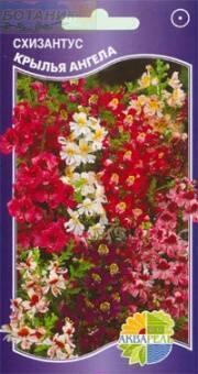 Купить оптом в Ботанике семена Схизантус Крылья ангела смесь Акв бренд Акварель