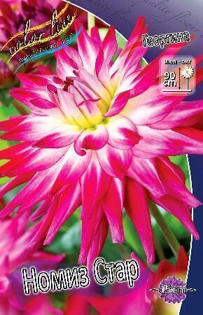 Купить оптом в Ботанике Георгина Номиз Стар 1 шт кактусовые 