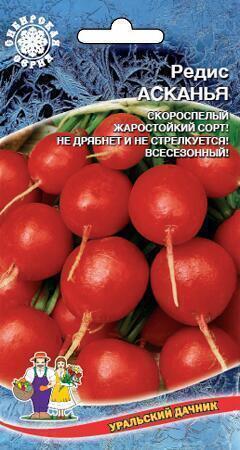 Купить оптом в Ботанике семена Редис Асканья УД бренд Уральский дачник