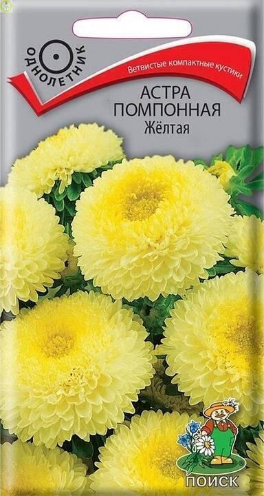 Купить оптом в Ботанике семена Астра помпонная жёлтая Поиск бренд Поиск