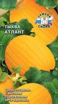 Купить оптом в Ботанике семена Тыква Атлант Сед бренд СеДеК