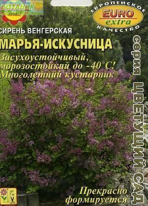 Купить оптом в Ботанике семена Сирень Марья-искусница венгерская Аэл бренд Аэлита