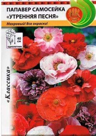 Купить оптом в Ботанике семена Папавер Монпансье смесь НК бренд НК