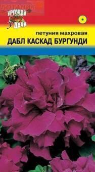 Купить оптом в Ботанике семена Петуния Дабл каскад бургунди УУ бренд Урожай Удачи