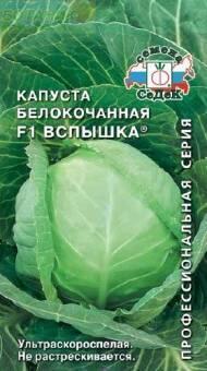 Купить оптом в Ботанике семена Капуста белокочанная Вспышка F1 Сед бренд СеДеК