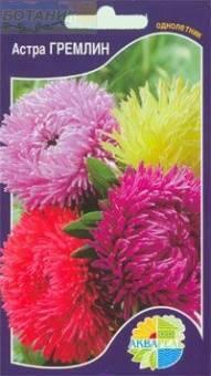 Купить оптом в Ботанике семена Астра Гремлин смесь Акв бренд Акварель
