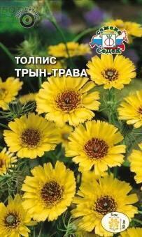 Купить оптом в Ботанике семена Толпис Трын-трава Сед бренд СеДеК