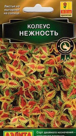 Купить оптом в Ботанике семена Колеус Визард Нежность Аэл бренд Аэлита