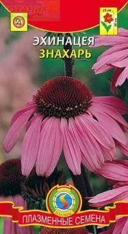 Купить оптом в Ботанике семена Эхинацея Знахарь Плз бренд Плазмас
