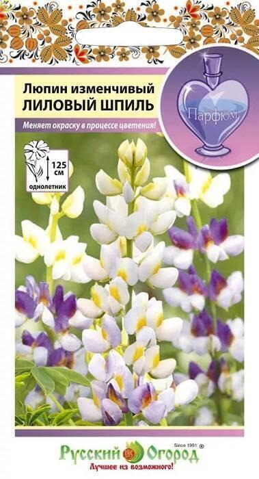 Купить оптом в Ботанике семена Люпин Лиловый шпиль НК бренд НК