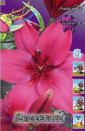 Купить оптом в Ботанике Лилия Концепшн 5 шт 