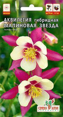 Купить оптом в Ботанике семена Аквилегия Малиновая звезда СА бренд Семена Алтая