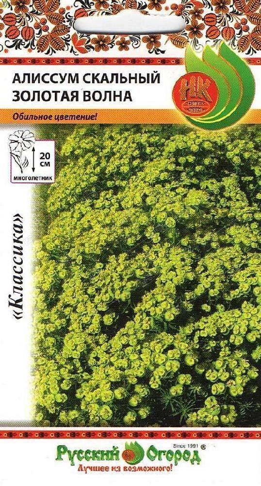 Купить оптом в Ботанике семена Алиссум Золотая волна скальный НК бренд НК
