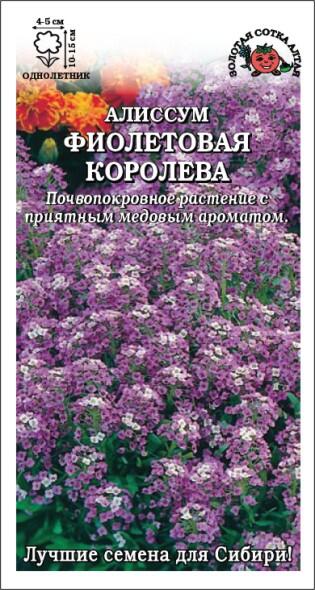 Купить оптом в Ботанике семена Алиссум Фиолетовая королева ЗС бренд Золотая сотка