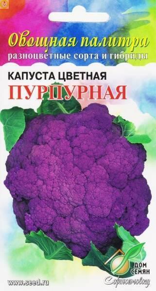 Купить оптом в Ботанике семена Капуста цветная Пурпурная ССО бренд Сортсемовощ