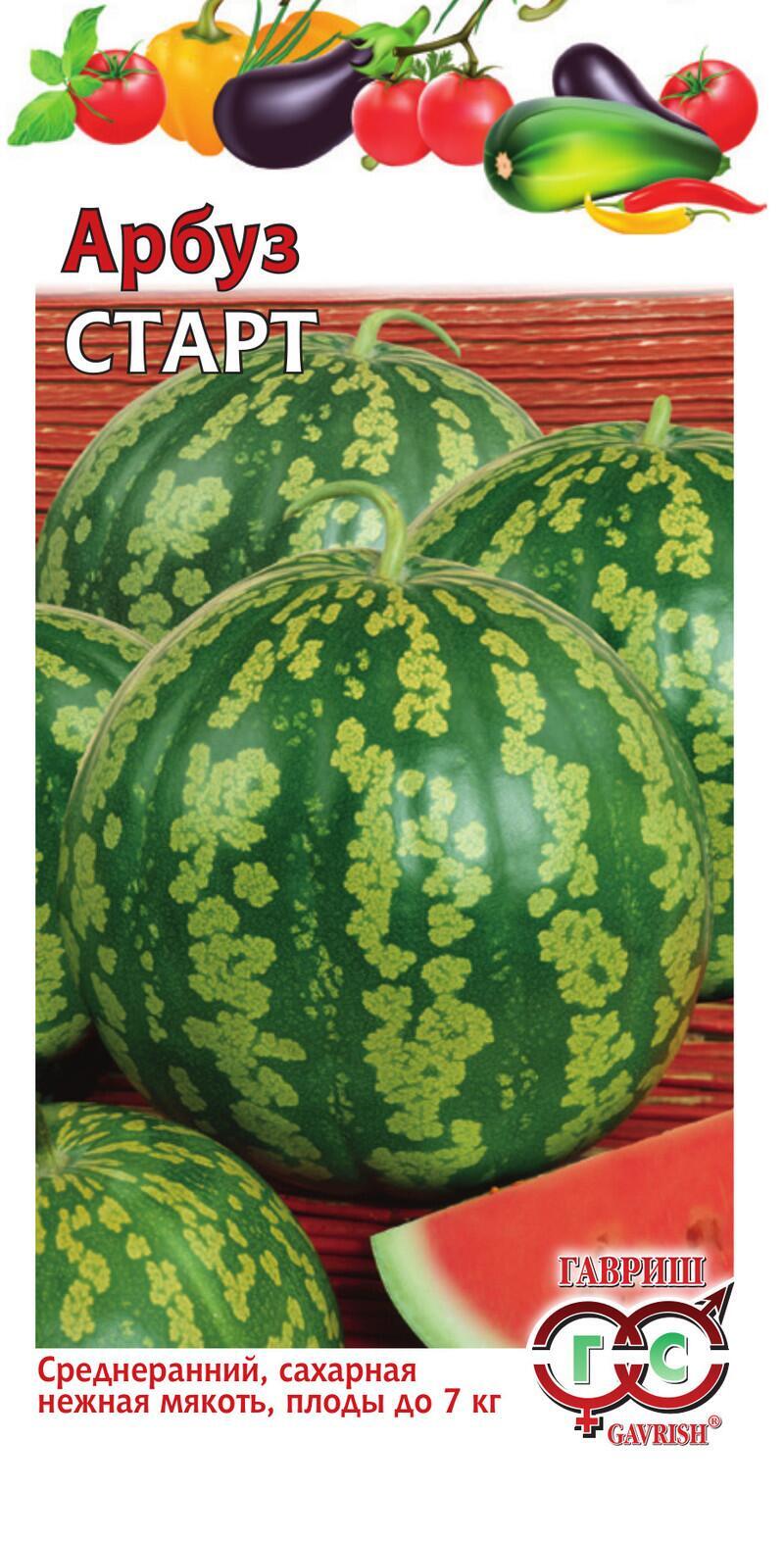 Купить оптом в Ботанике семена Арбуз Старт Гав бренд Гавриш