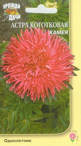 Купить оптом в Ботанике семена Астра Комея коготковая УУ бренд Урожай Удачи