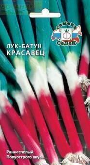 Купить оптом в Ботанике семена Лук батун Красавец Сед бренд СеДеК