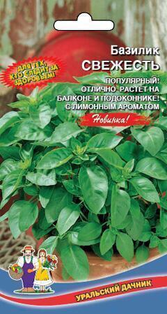 Купить оптом в Ботанике семена Базилик Свежесть УД бренд Уральский дачник